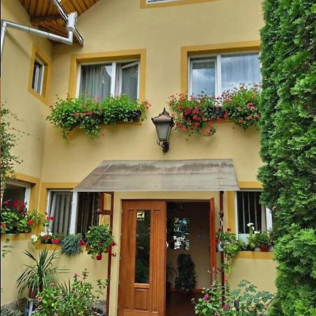 B&B Dumbrava Gura Humorului Exterior foto