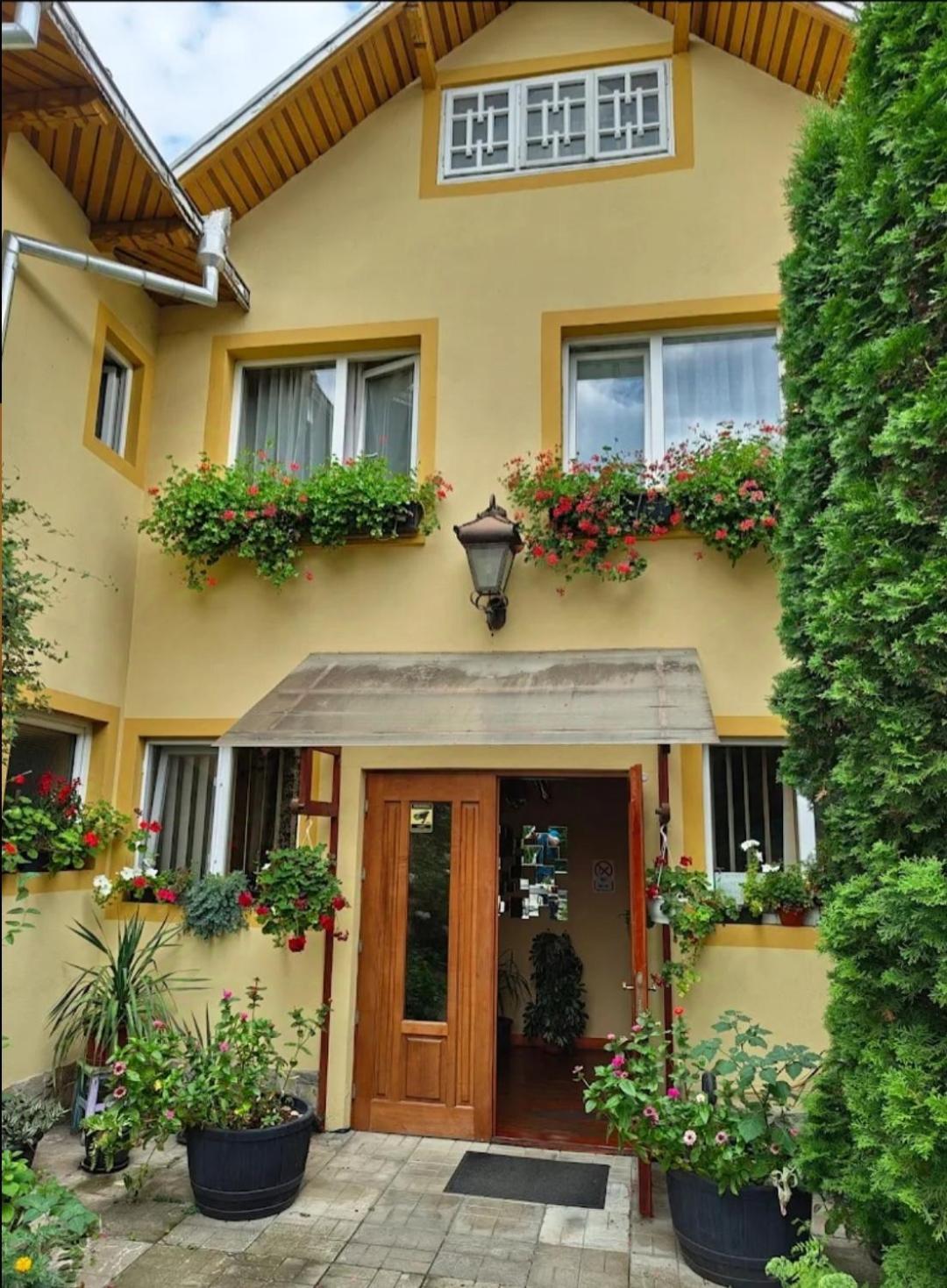 B&B Dumbrava Gura Humorului Exterior foto